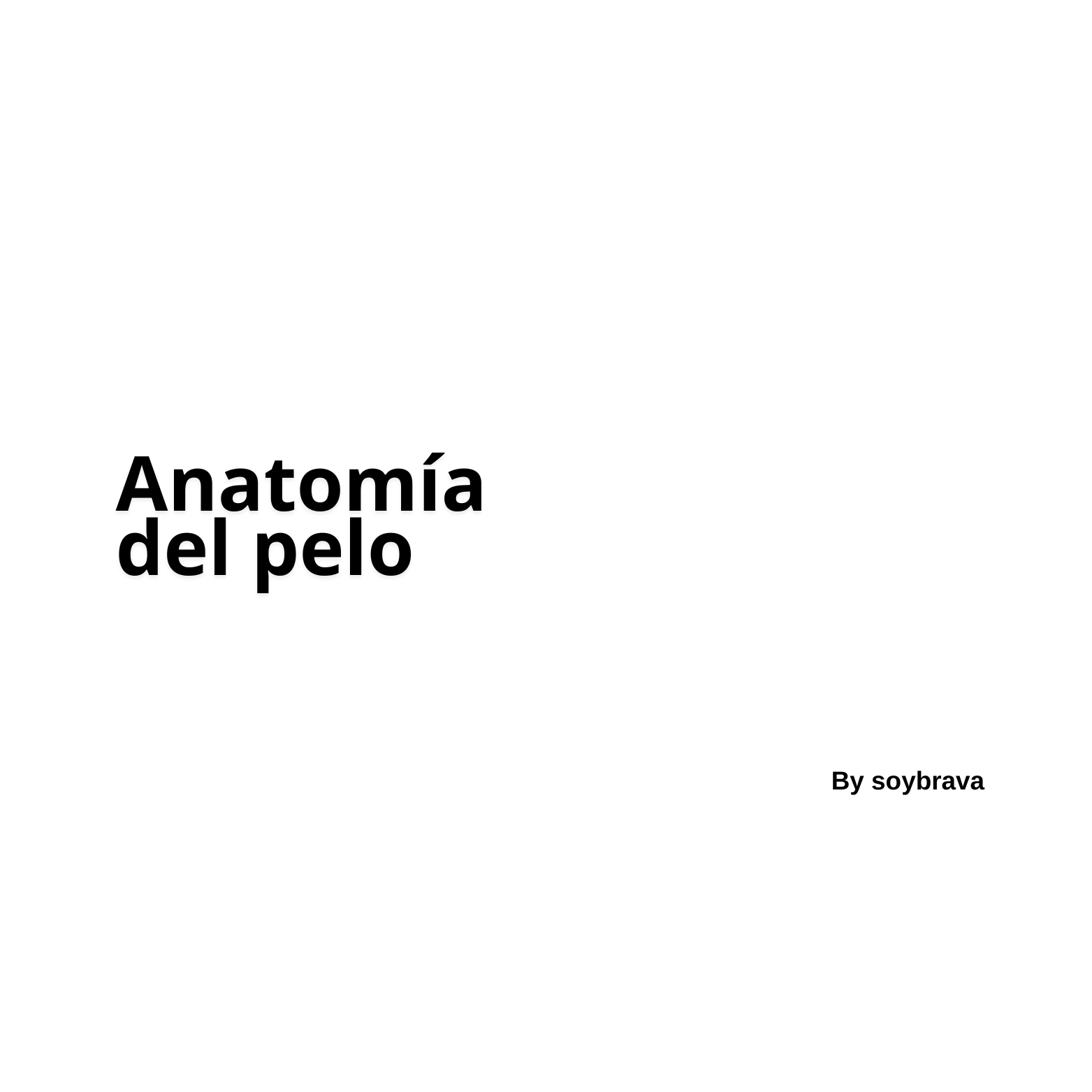 Curso Anatomía Capilar ( En Español)