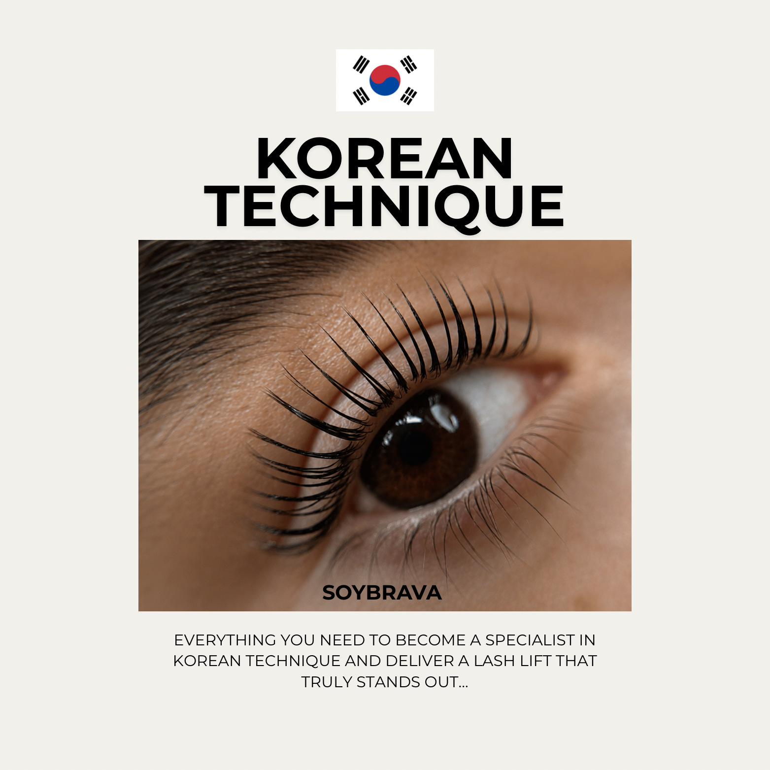 Korean Technique eBook in English - Imagen 2